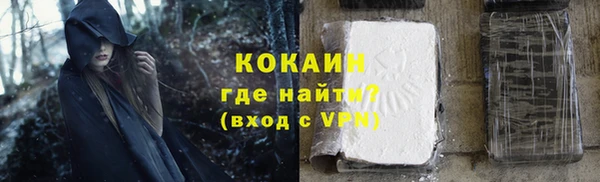 мдпв Богородицк
