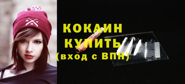 мдпв Богородицк