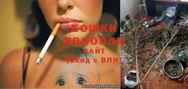 гидра Богданович